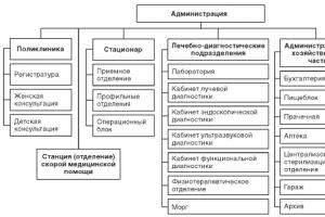 Organization of medical care for the rural population